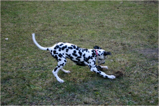 ich w�hle und w�hle ja schon wie verr�ckt!